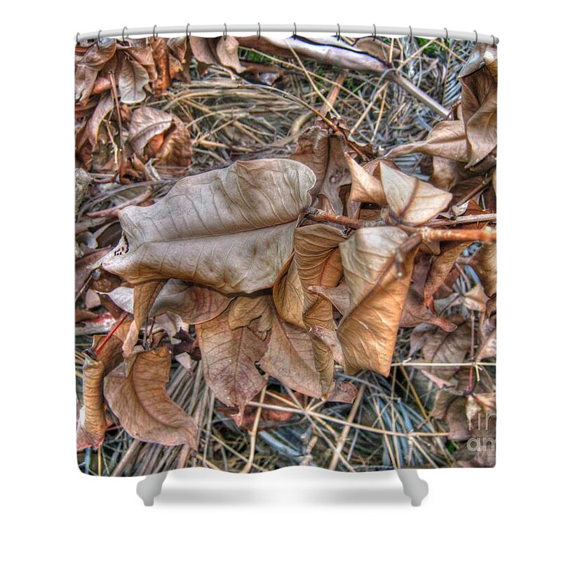 Michelle Meenawong Shower Curtain featuring the photograph Dead Leaves #2 by Michelle Meenawong