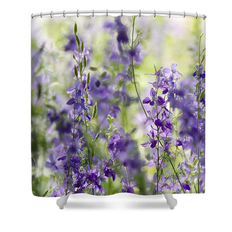 Purple Wildflowers Shower Curtain featuring the photograph Fields of Lavender by Saija Lehtonen