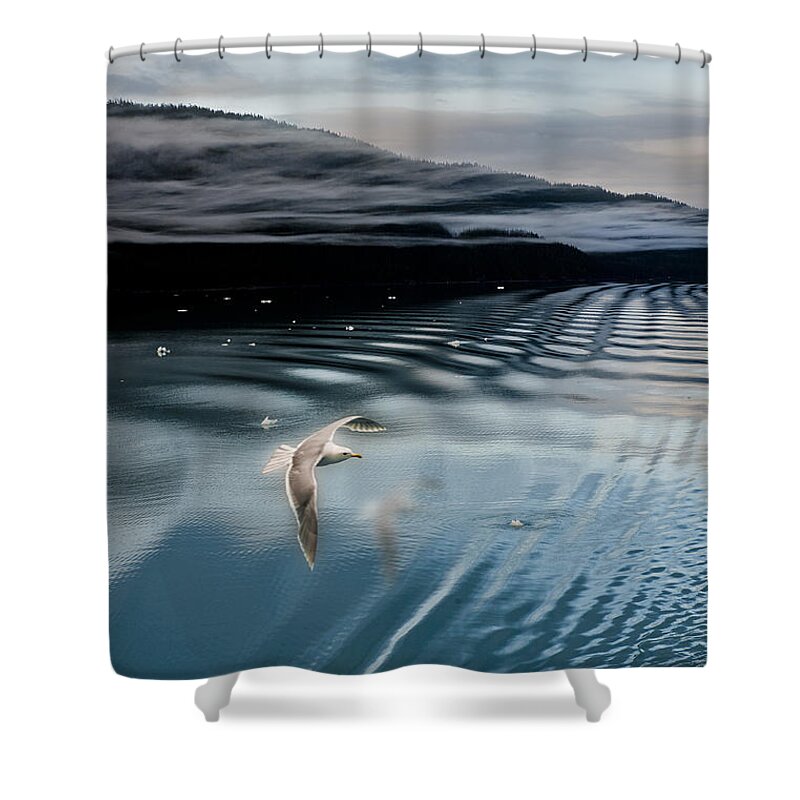 Alaska Shower Curtain featuring the photograph Journey with a Sea Gull by Gary Warnimont