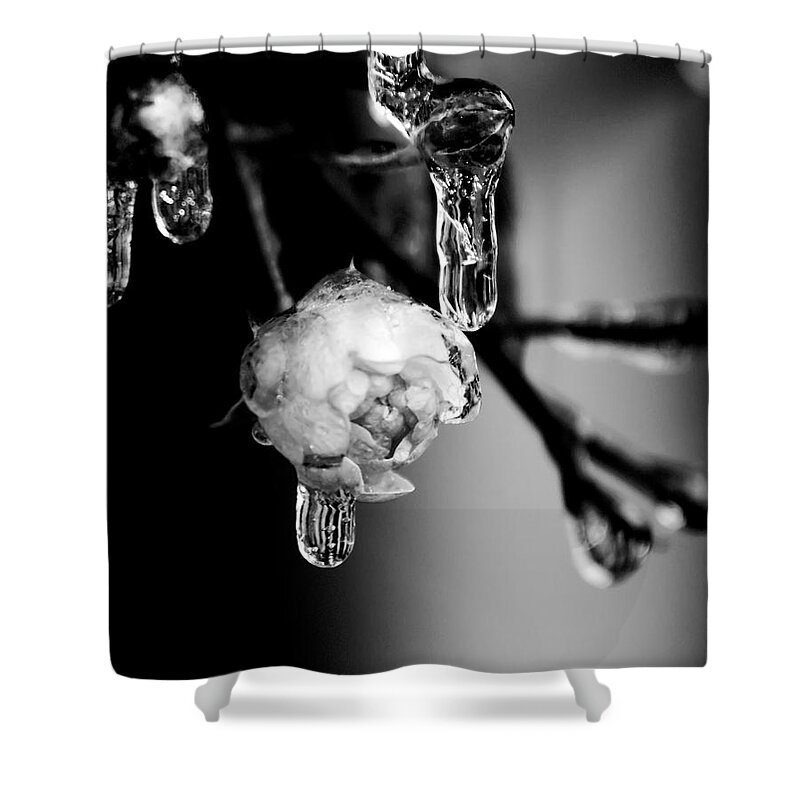 Abstract Shower Curtain featuring the photograph Rose And Frozen Leafs In Cold Winter Tones by Alex Grichenko