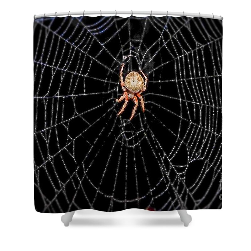 Spider Web Shower Curtain featuring the photograph Spider in Web by Peggy Franz