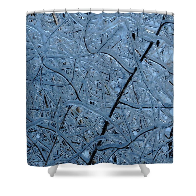 Ice Shower Curtain featuring the photograph Vegetation After Ice Storm by Daniel Reed