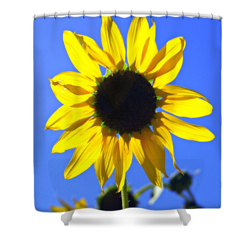 Flower Shower Curtain featuring the photograph 072 by Marty Koch