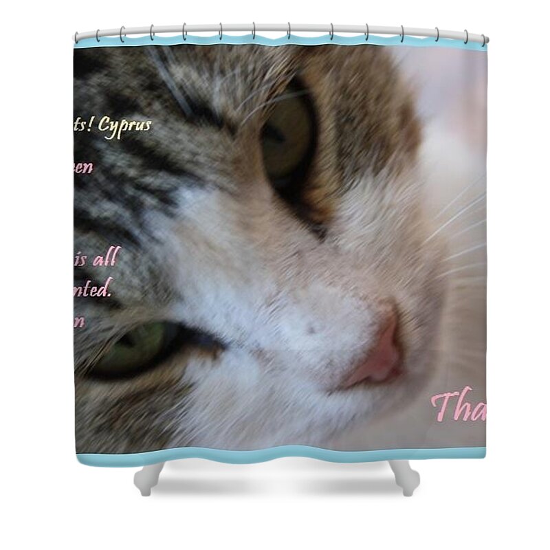 Thank You Shower Curtain featuring the photograph A Big Van Thanks Altered Cats Cyprus #1 by Anita Dale Livaditis