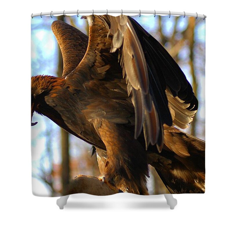 A Golden Eagle Shower Curtain featuring the photograph A Golden Eagle #1 by Raymond Salani III