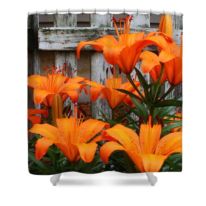 Flora Shower Curtain featuring the photograph Afternoon Delight #1 by Bruce Bley