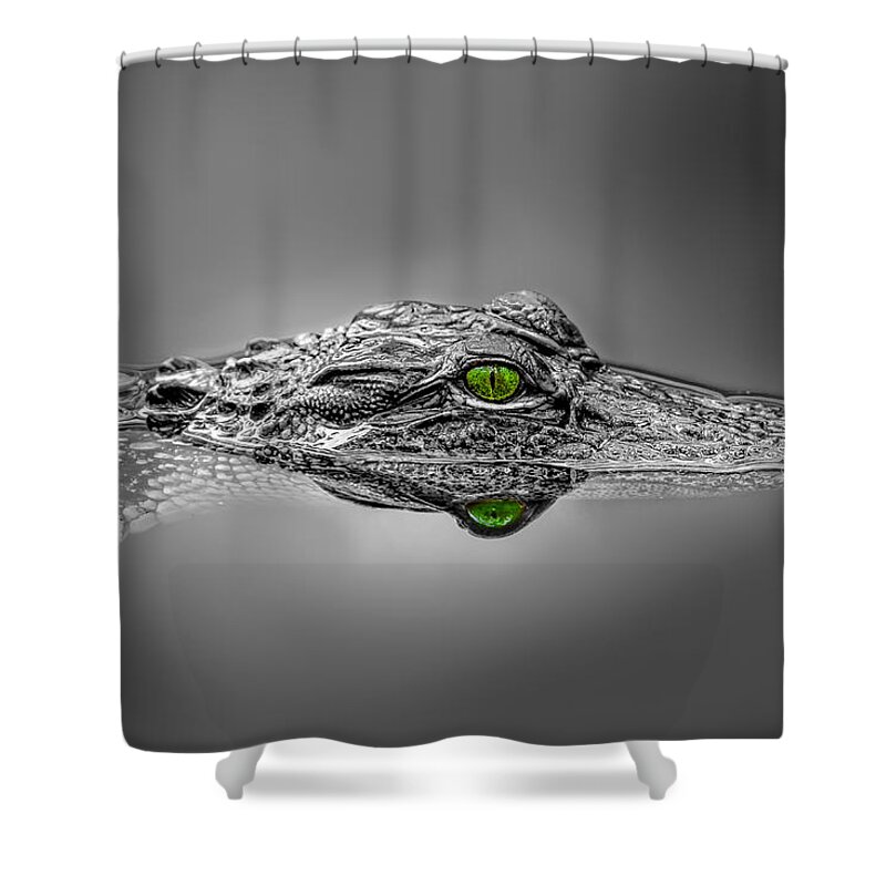 Aggression Shower Curtain featuring the photograph Alligator #1 by Peter Lakomy