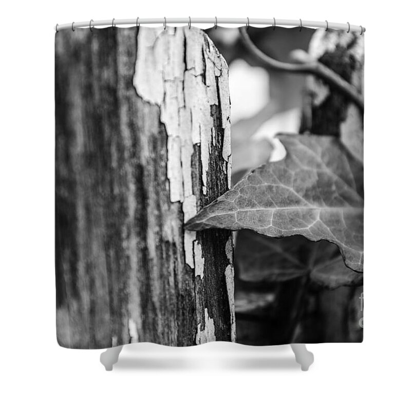 Wood Shower Curtain featuring the photograph Along the Fence #1 by JT Lewis
