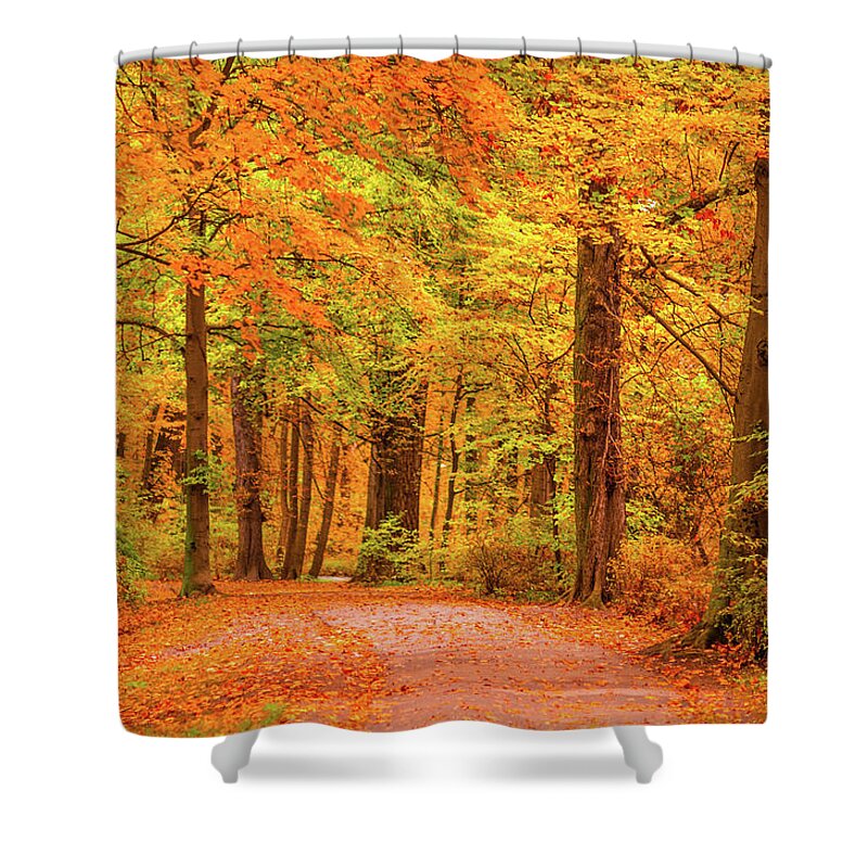 Orange Color Shower Curtain featuring the photograph Autumn Park #1 by Mmac72