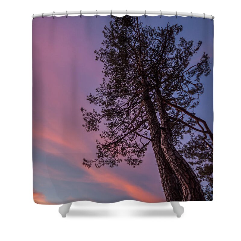 Tree Shower Curtain featuring the photograph Awakening #1 by Davorin Mance