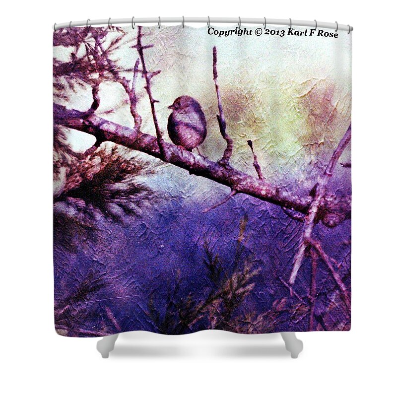 Birds Shower Curtain featuring the photograph Bird in tree #1 by Karl Rose