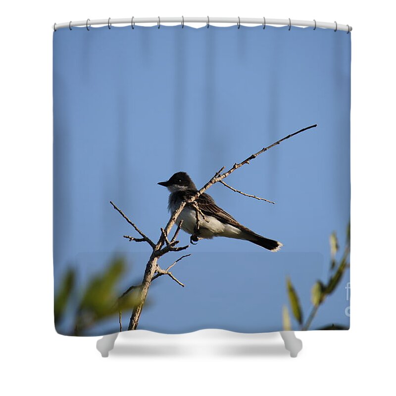 Landscape Shower Curtain featuring the photograph Bird on a Branch #2 by Donna L Munro