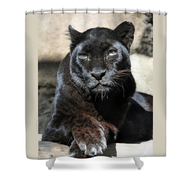 Black Shower Curtain featuring the digital art The Black Leopard by Savannah Gibbs