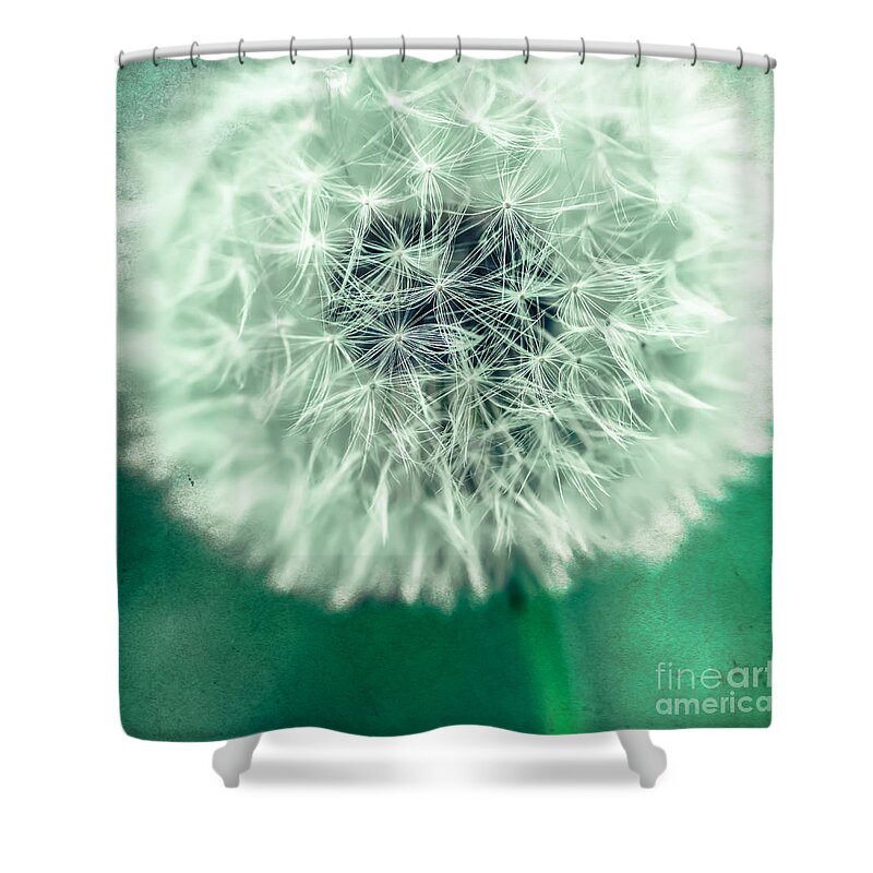 1x1 Shower Curtain featuring the photograph Blowball 1x1 by Hannes Cmarits