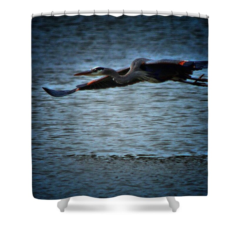 Great Blue Heron Shower Curtain featuring the photograph Blue Bayou 2 by Robert McCubbin