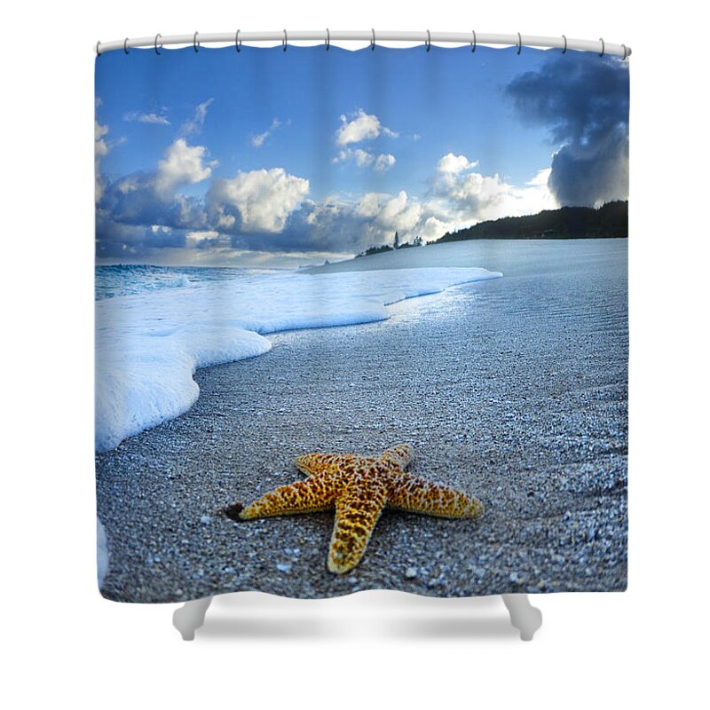 Surreal Shower Curtain featuring the photograph Blue Foam Starfish by Sean Davey