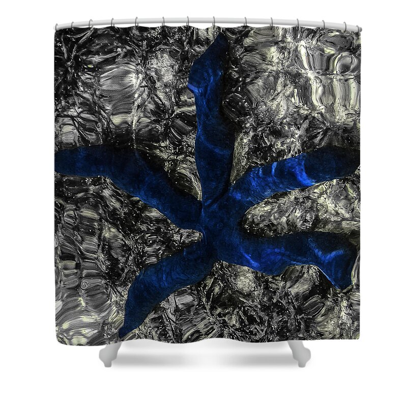 Blue Starfish Shower Curtain featuring the photograph Blue Starfish by Eye Olating Images