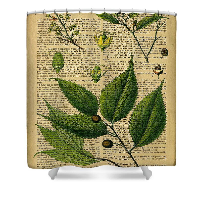Botanical Shower Curtain featuring the digital art Botanical Print on old book page #1 by Lilia S