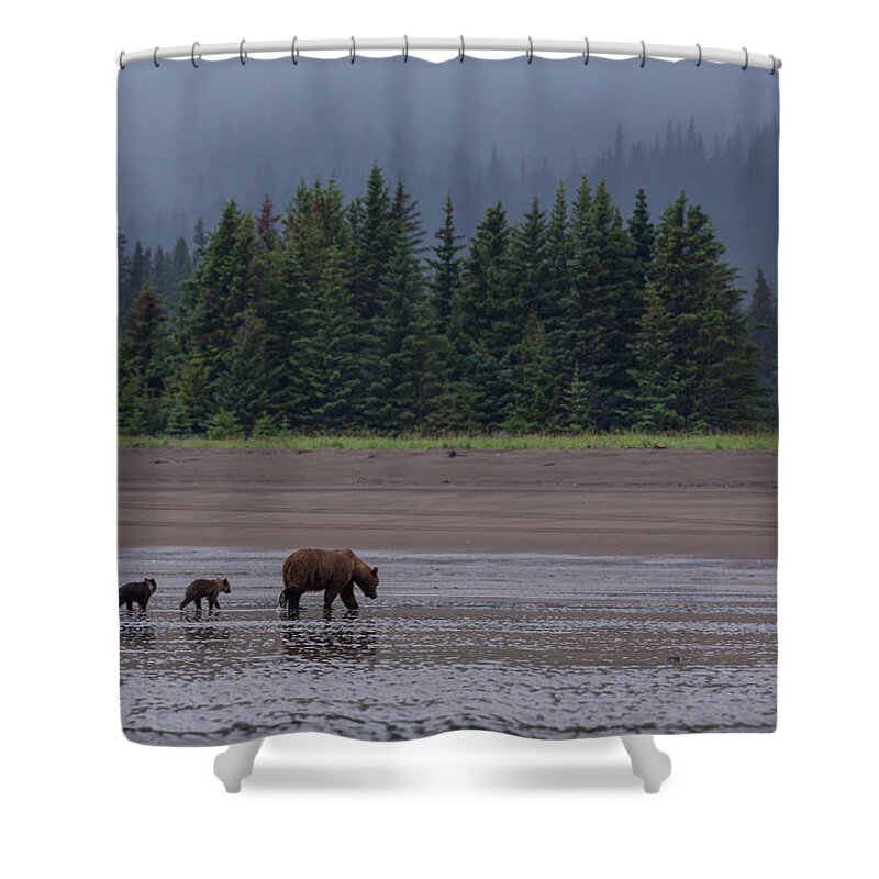 Brown Bear Shower Curtain featuring the photograph Brown Bear In Lake Clark National Park #1 by Gavriel Jecan