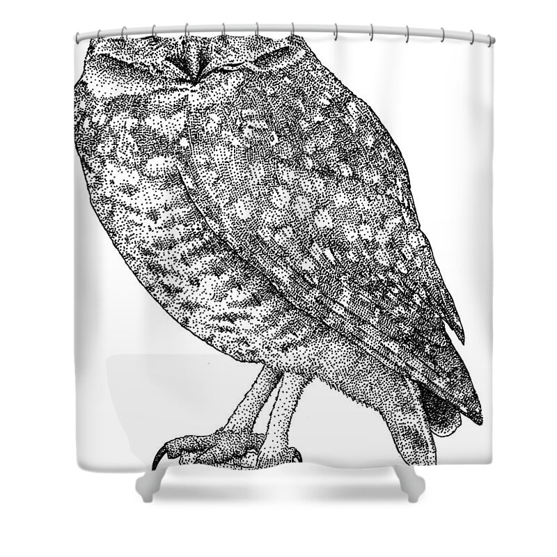 Animal Shower Curtain featuring the photograph Burrowing Owl #1 by Roger Hall