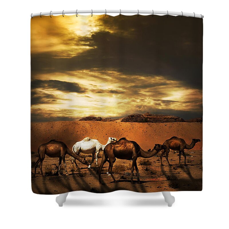 Camel Shower Curtain featuring the photograph Camels #1 by Jelena Jovanovic