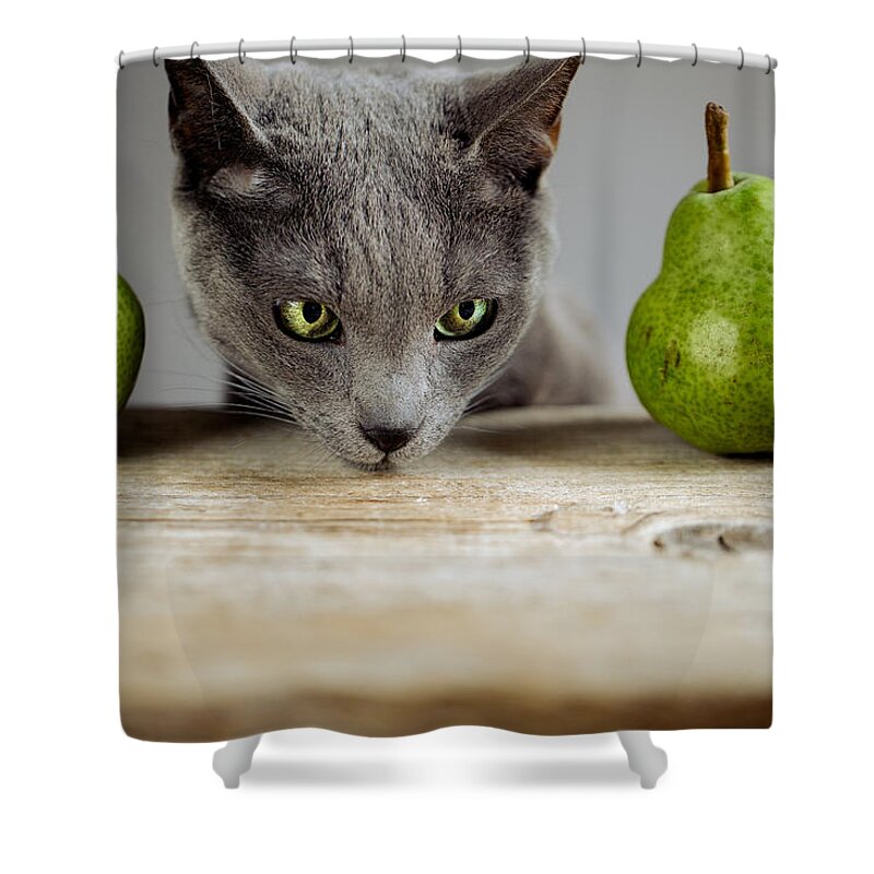 Cat Shower Curtain featuring the photograph Cat and Pears #1 by Nailia Schwarz