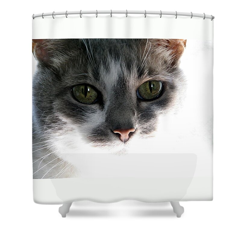 Feline Shower Curtain featuring the photograph Gray Cat with Green Eyes by Valerie Collins