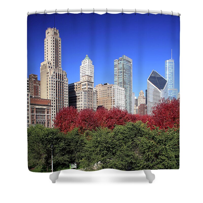 Downtown District Shower Curtain featuring the photograph Chicago Skyline And Millennium Park #1 by Hisham Ibrahim