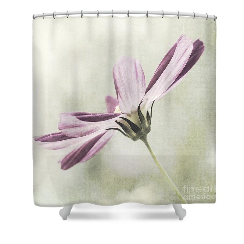 Flower Shower Curtain featuring the photograph Cosmos #1 by Pam Holdsworth