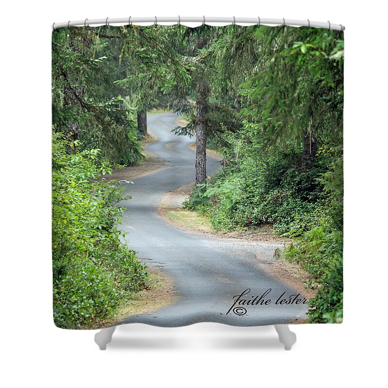 Trees Shower Curtain featuring the photograph Curves into Leadbetter Point State Park II by E Faithe Lester