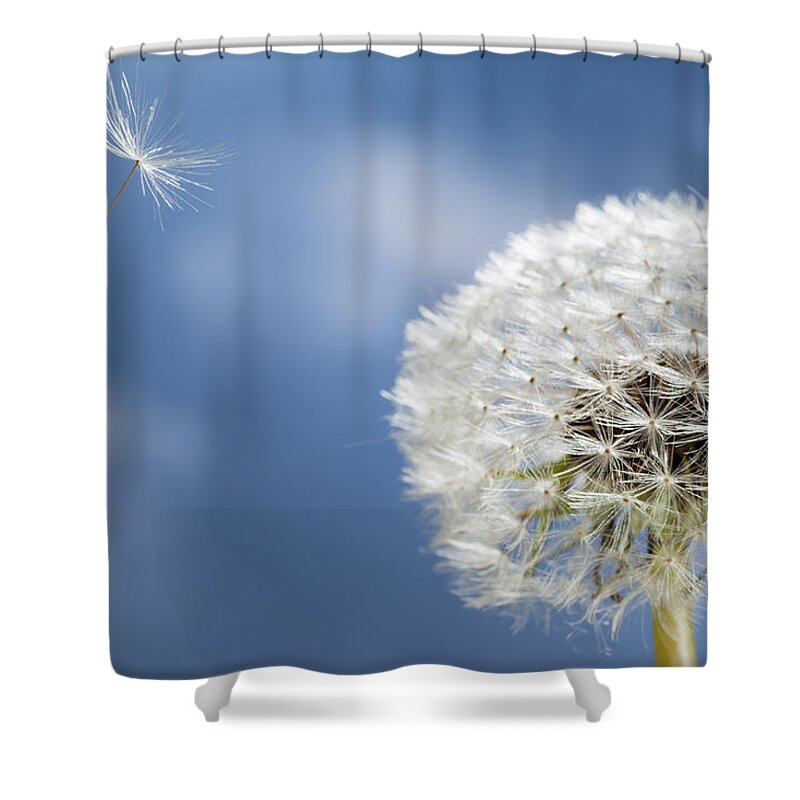 534795 Shower Curtain featuring the photograph Dandelion Seed Being On The Wind Oregon #1 by Michael Durham