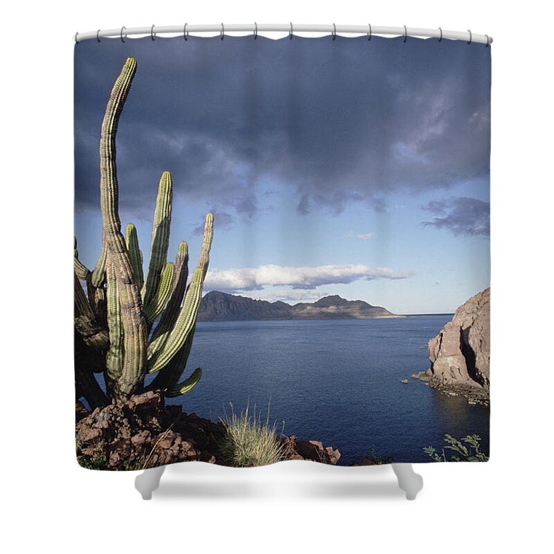 Feb0514 Shower Curtain featuring the photograph Danzante Island Sea Of Cortez Baja #1 by Tui De Roy