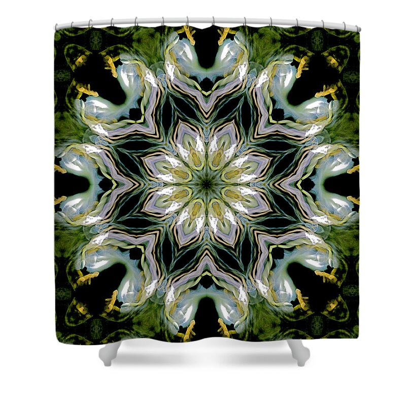 Mandala Shower Curtain featuring the photograph Delight I #2 by Lisa Lipsett