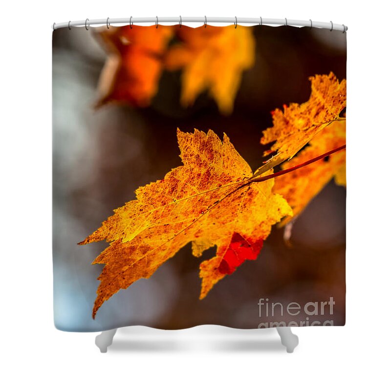 Fort-mountain Shower Curtain featuring the photograph Fall colors by Bernd Laeschke