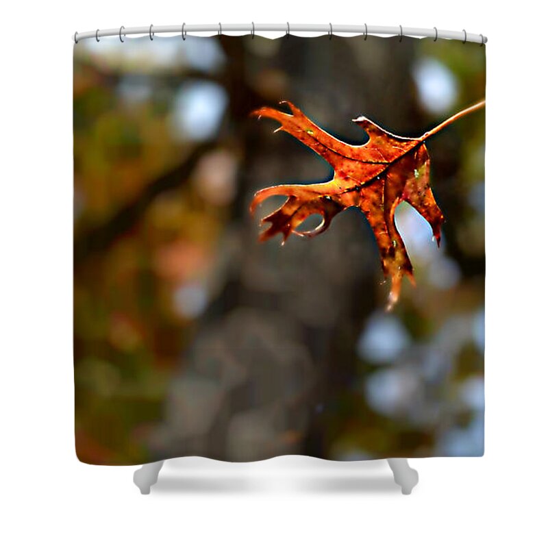 Fall Shower Curtain featuring the photograph Falling by Carlee Ojeda