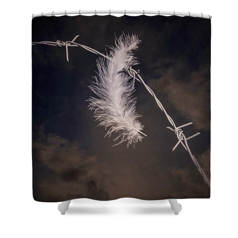 Feather Shower Curtain featuring the photograph Feather #1 by Joana Kruse