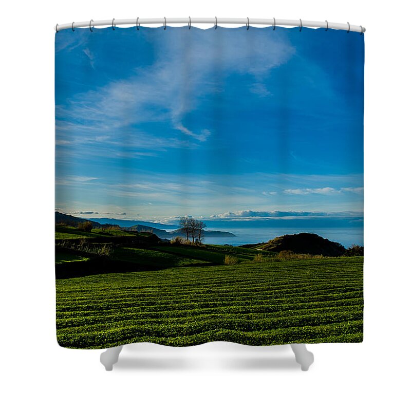 Art Shower Curtain featuring the photograph Field of Tea #1 by Joseph Amaral