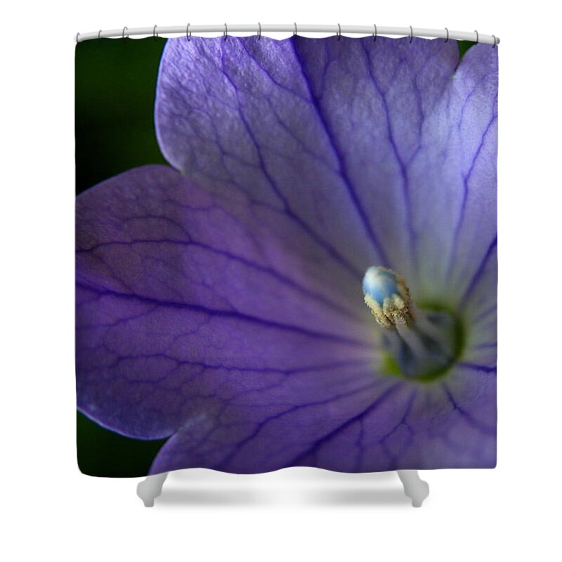 Purple Flower Shower Curtain featuring the photograph Floral Lines  by Neal Eslinger