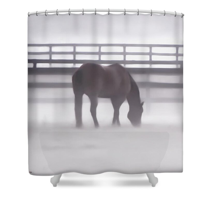 Fog Shower Curtain featuring the photograph Foggy Morning by Lucy VanSwearingen