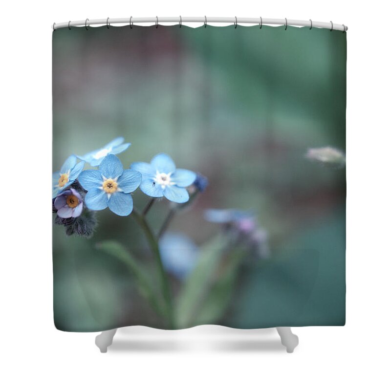 Forget-me-not Shower Curtain featuring the photograph Forget Me Not #1 by Yuka Kato