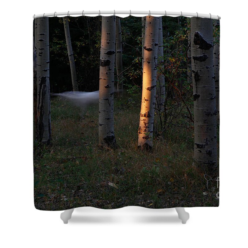 Halloween Shower Curtain featuring the photograph Ghostly Apparition by Roselynne Broussard