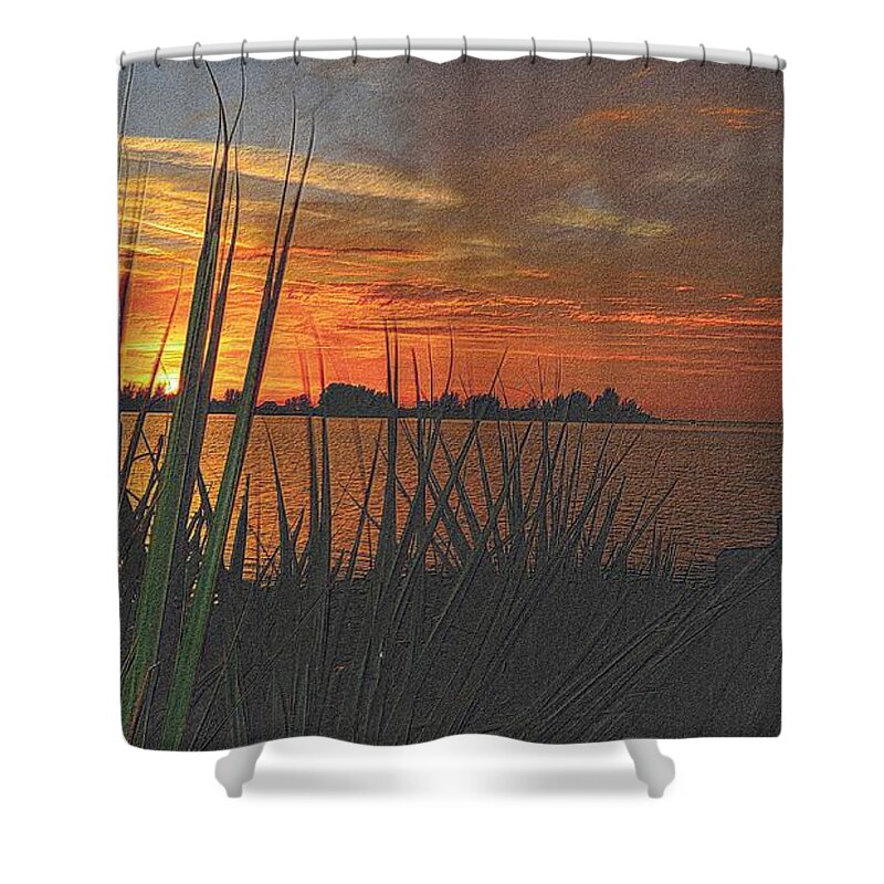 Florida Shower Curtain featuring the drawing Golden Christmas Sunset #1 by Richard Zentner