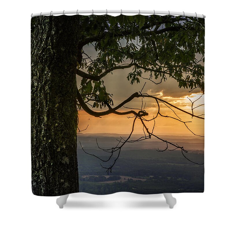 Appalachia Shower Curtain featuring the photograph Golden #1 by Debra and Dave Vanderlaan