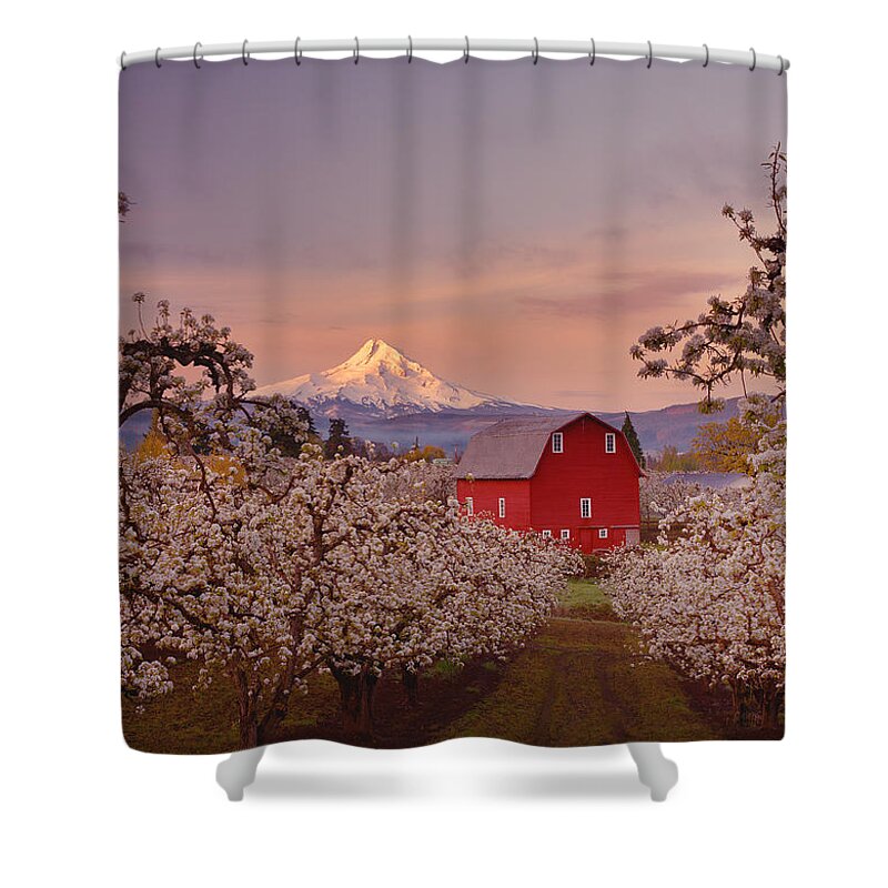 Sunrise Shower Curtain featuring the photograph Hood River Sunrise #1 by Darren White
