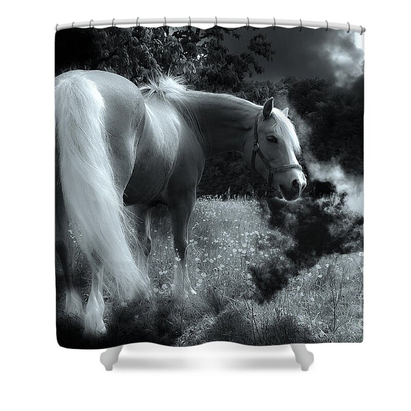 Horse Shower Curtain featuring the photograph Horse #1 by Christine Sponchia