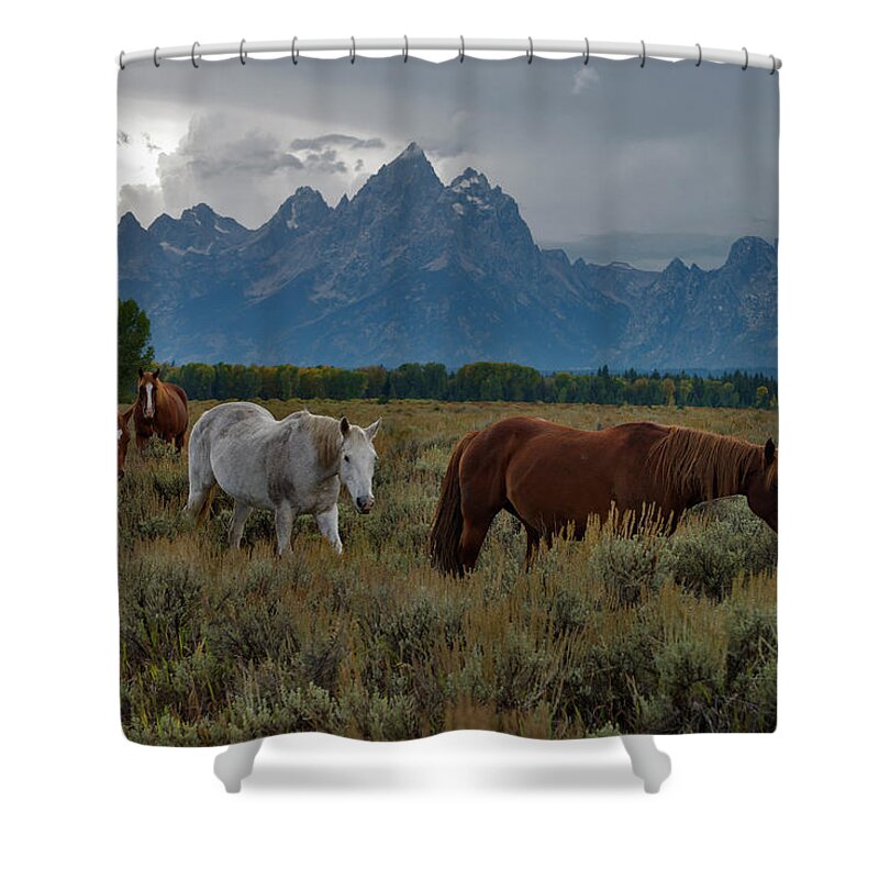 Horse Shower Curtain featuring the photograph Horses In Grand Teton National Park #1 by Mark Newman