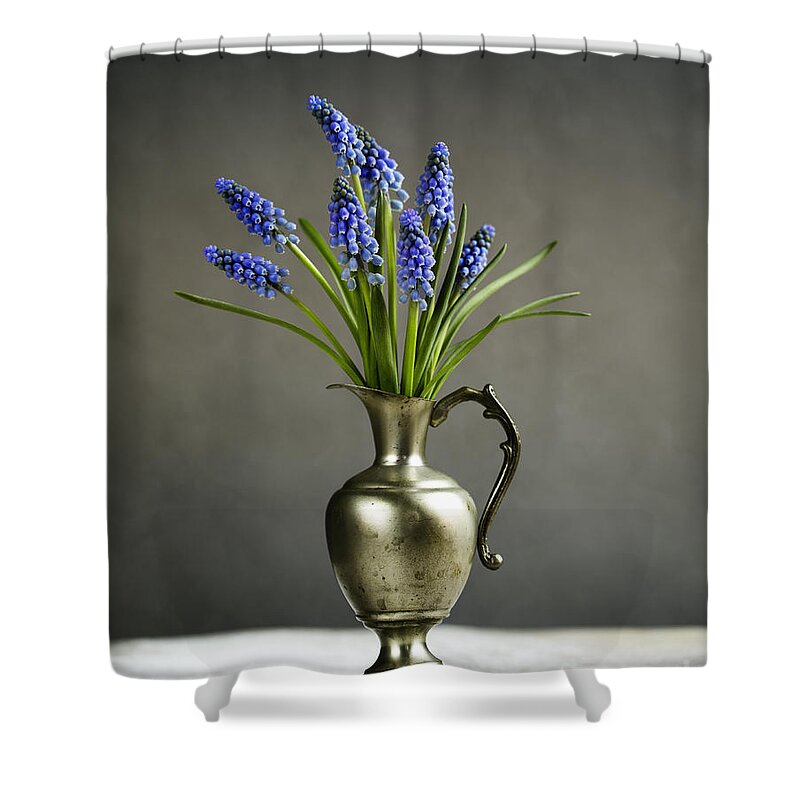 Hyacinth Shower Curtain featuring the photograph Hyacinth Still Life #1 by Nailia Schwarz