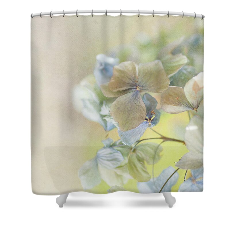 Hydrangea Shower Curtain featuring the photograph Hydrangea #1 by Jill Ferry