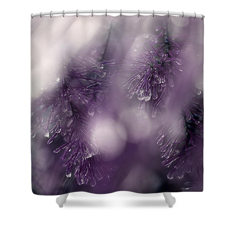 Pine Needles Shower Curtain featuring the photograph I Still Search For You #1 by Michael Eingle