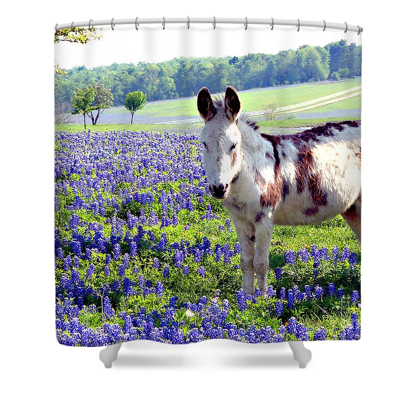 Bluebonnets Shower Curtain featuring the photograph Jesus Donkey In Bluebonnets #1 by Linda Cox